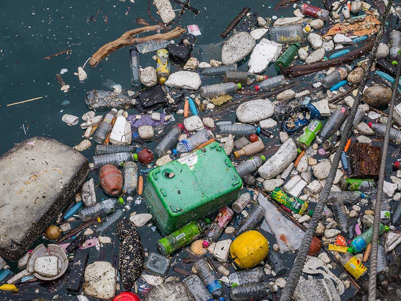 plastic pollution