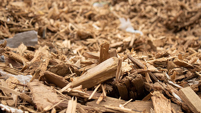 Waste Wood for Wood Pyrolysis Plant